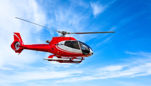 Femme âgée dans sa cour arrière, assise sur un banc vert et noir, un journal dans les mains et qui sourit à la caméra.